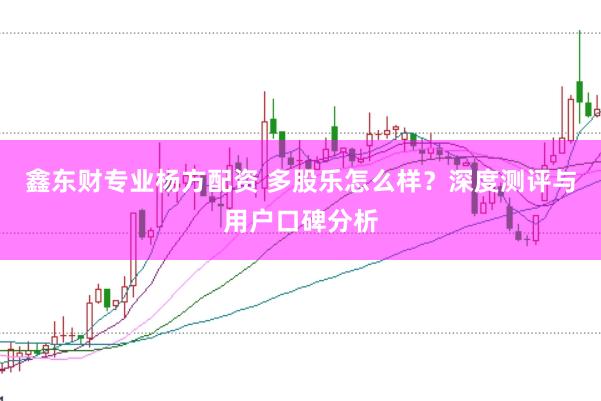 鑫东财专业杨方配资 多股乐怎么样？深度测评与用户口碑分析