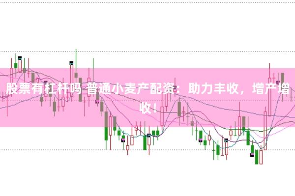 股票有杠杆吗 普通小麦产配资：助力丰收，增产增收！
