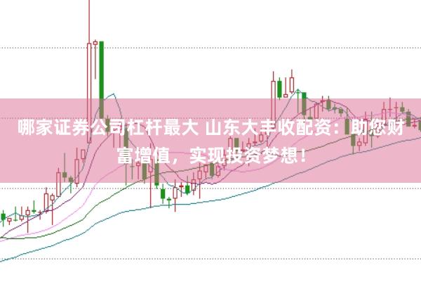 哪家证券公司杠杆最大 山东大丰收配资：助您财富增值，实现投资梦想！
