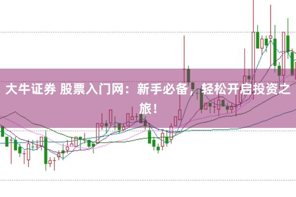大牛证券 股票入门网：新手必备，轻松开启投资之旅！