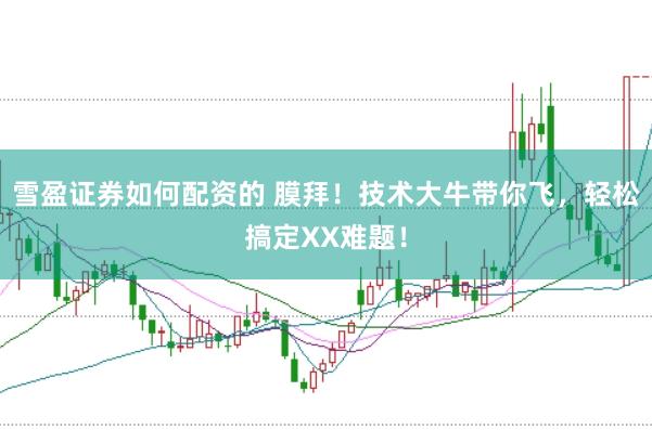 雪盈证券如何配资的 膜拜！技术大牛带你飞，轻松搞定XX难题！