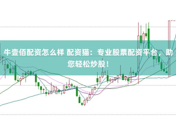 牛壹佰配资怎么样 配资猫：专业股票配资平台，助您轻松炒股！
