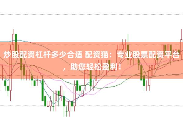 炒股配资杠杆多少合适 配资猫：专业股票配资平台，助您轻松盈利！
