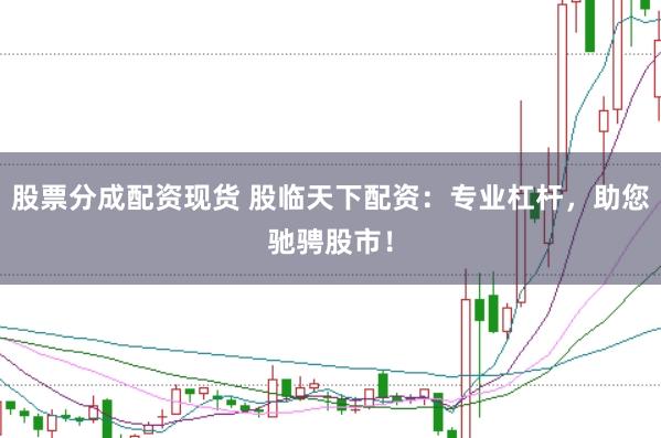 股票分成配资现货 股临天下配资：专业杠杆，助您驰骋股市！