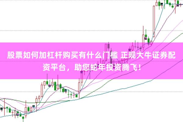 股票如何加杠杆购买有什么门槛 正规大牛证券配资平台，助您蛇年投资腾飞！