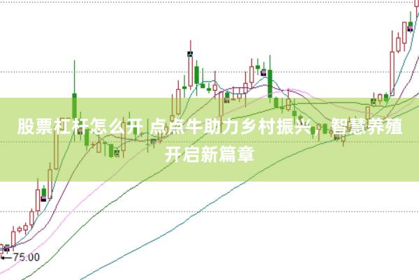 股票杠杆怎么开 点点牛助力乡村振兴，智慧养殖开启新篇章