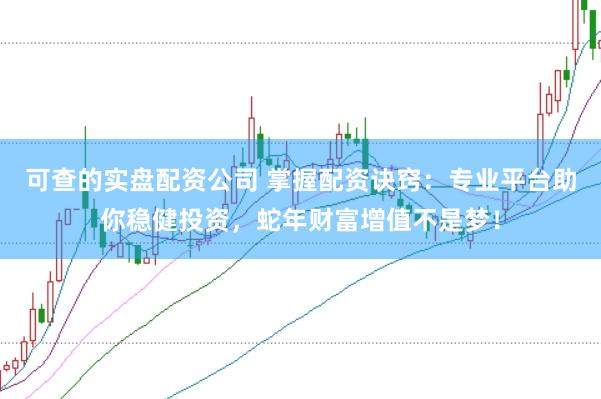 可查的实盘配资公司 掌握配资诀窍:专业平台助你稳健投资,蛇年财富增值不是梦!