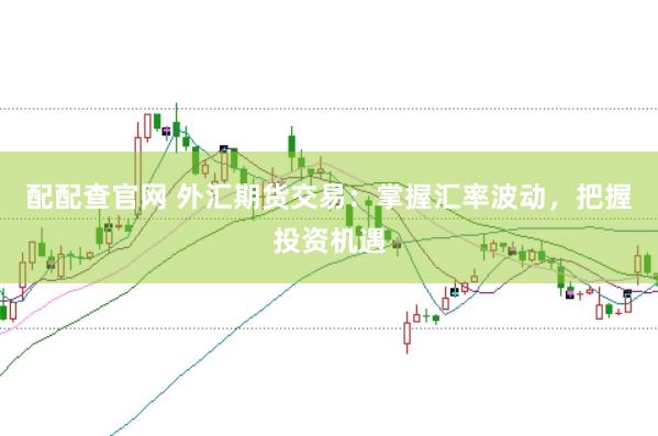 配配查官网 外汇期货交易：掌握汇率波动，把握投资机遇