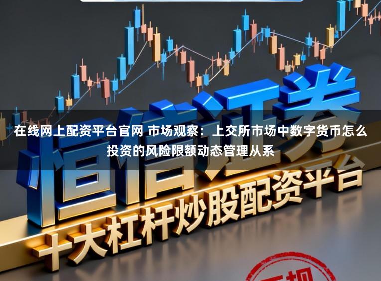 在线网上配资平台官网 市场观察:上交所市场中数字货币怎么投资的风险限额动态管理从系